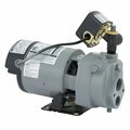 All-Source 1/2 HP Cast Iron Water Conventional Well Jet Pump JHU05